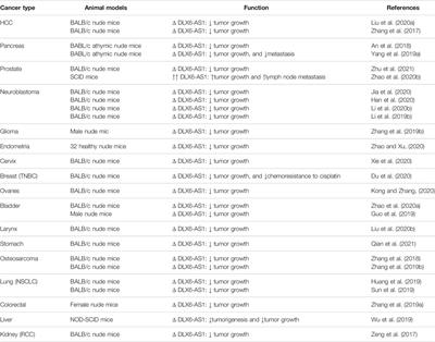 DLX6-AS1: A Long Non-coding RNA With Oncogenic Features